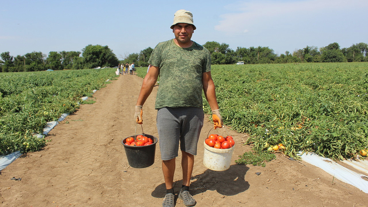 Крым: новости сельского хозяйства