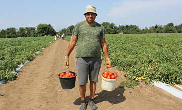 Крым: новости сельского хозяйства